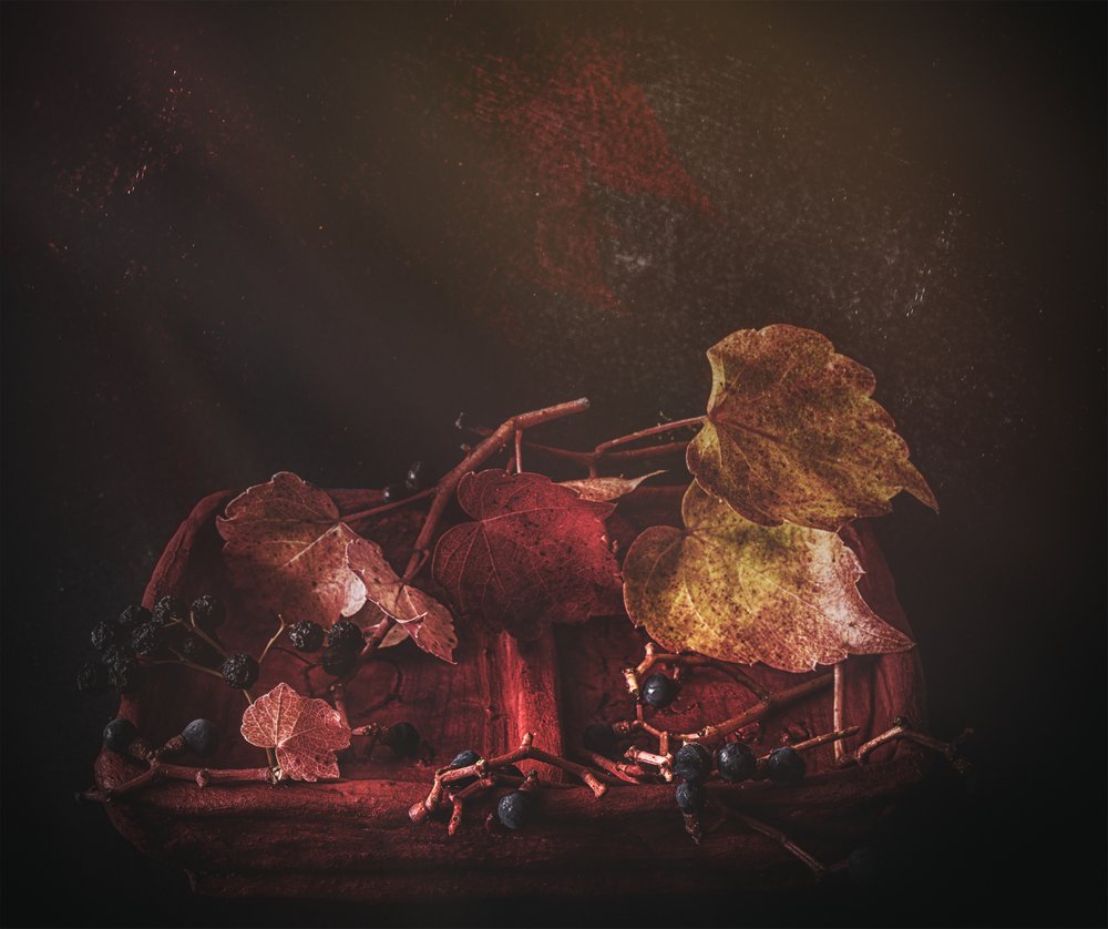 Feuilles d