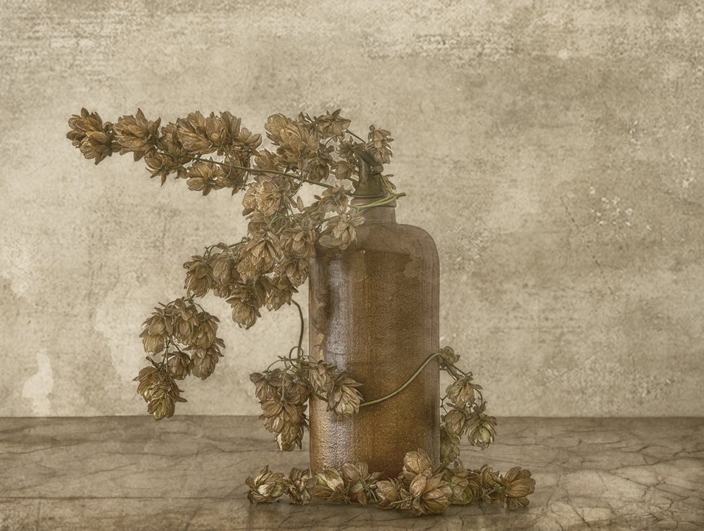 Nature morte rustique au houblon - Marie-anne Stas