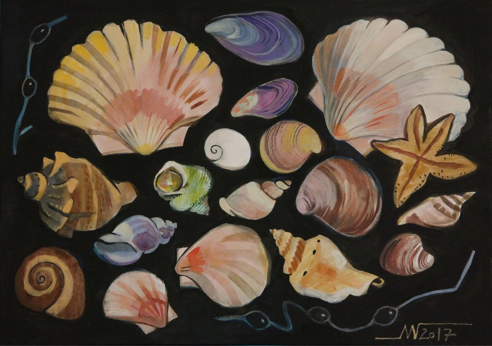 Coquillages colorés - Marina Gorkaeva