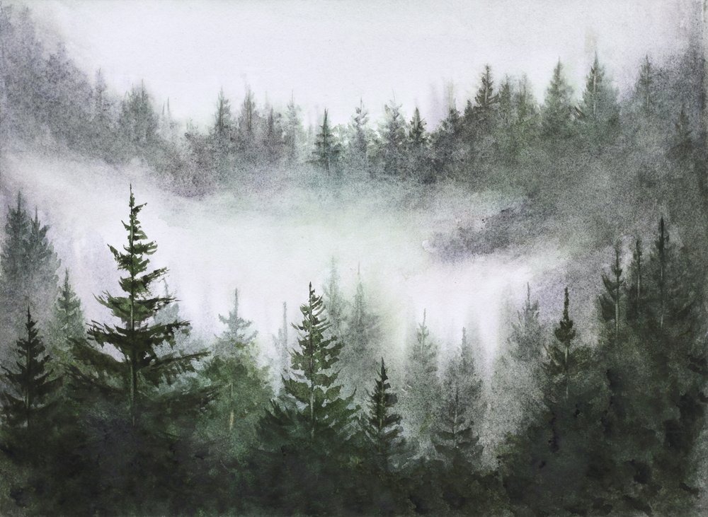 Sérénité de la forêt brumeuse - Marina Kozyr