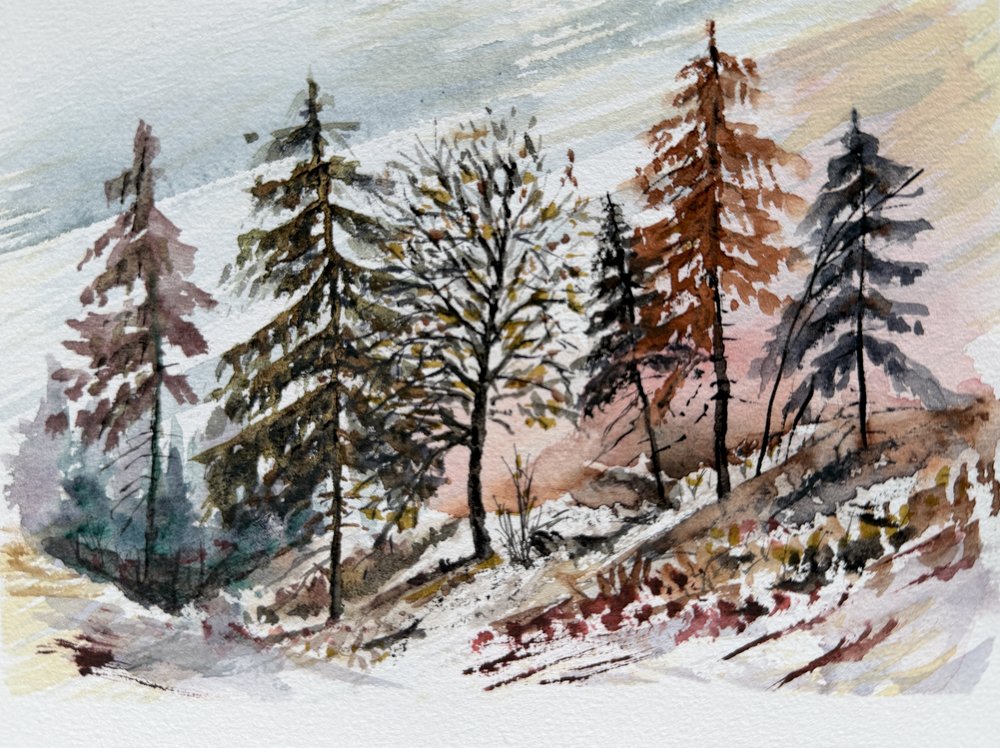 Aube enneigée dans la forêt - Marina Kozyr