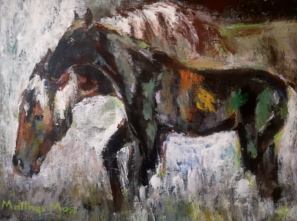 Des chevaux sauvages aux couleurs chatoyantes - Matthys Moss