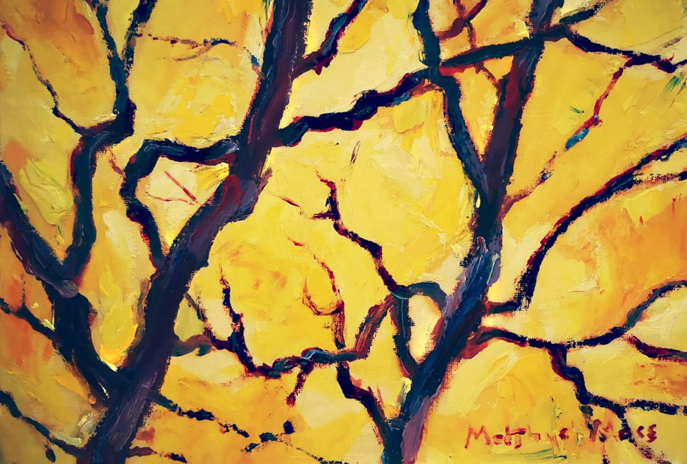  - Matthys Moss