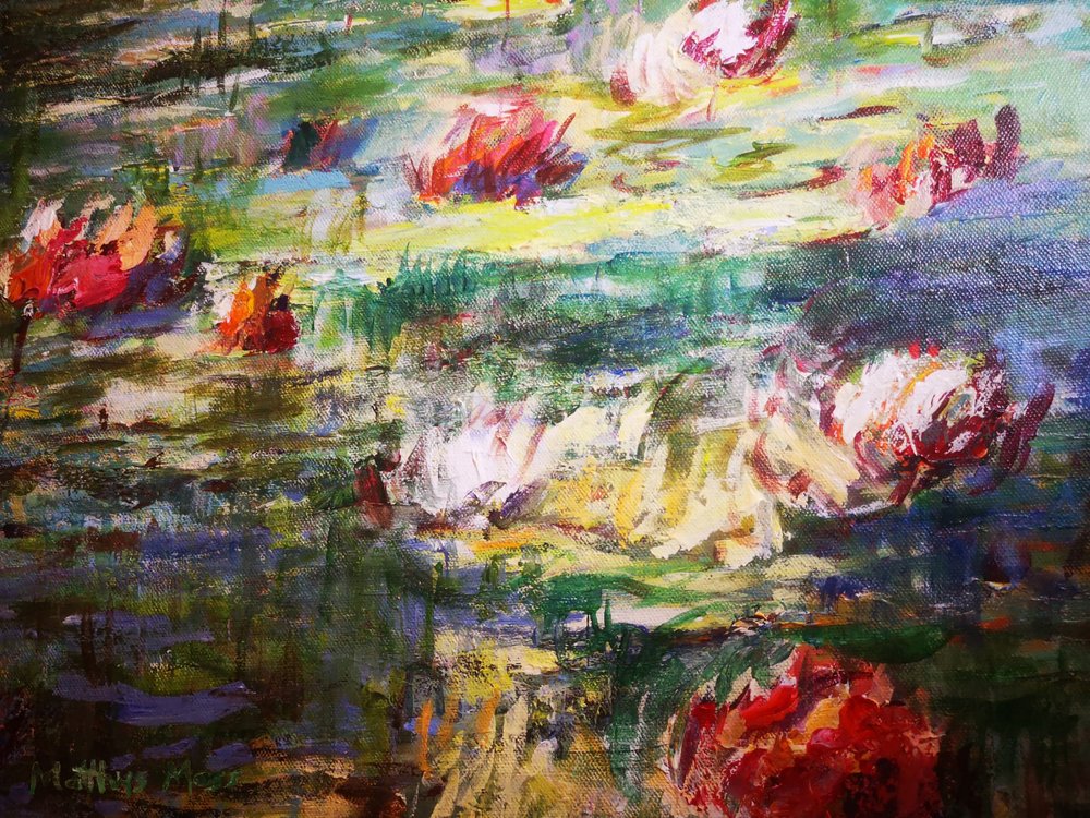 Des nénuphars aux couleurs éclatantes - Matthys Moss