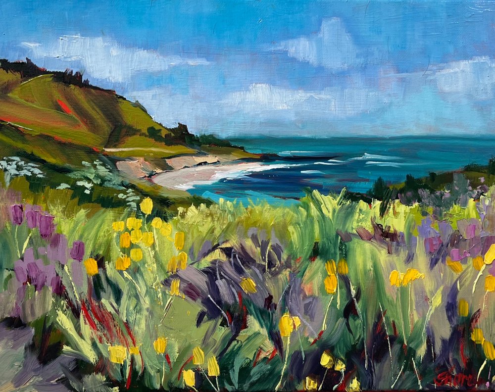 Floraison des fleurs sauvages du littoral - Maxine Shore