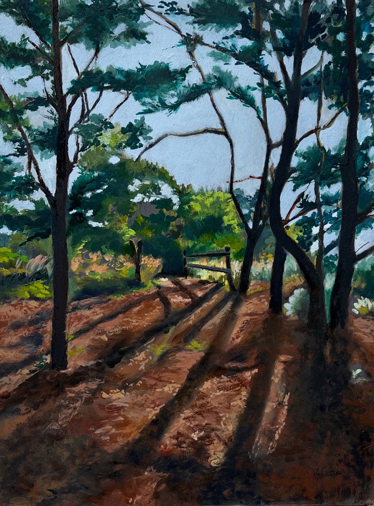Sentier forestier « Longues ombres » - Maxine Shore