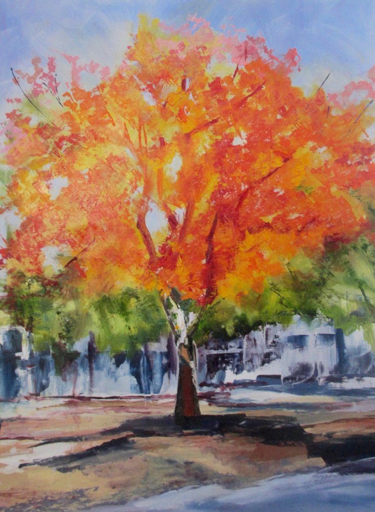 Un arbre aux couleurs chatoyantes en automne - Maxine Shore