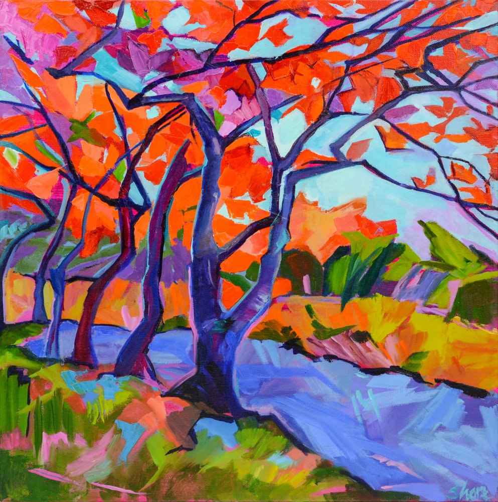 Les arbres aux couleurs chatoyantes de l