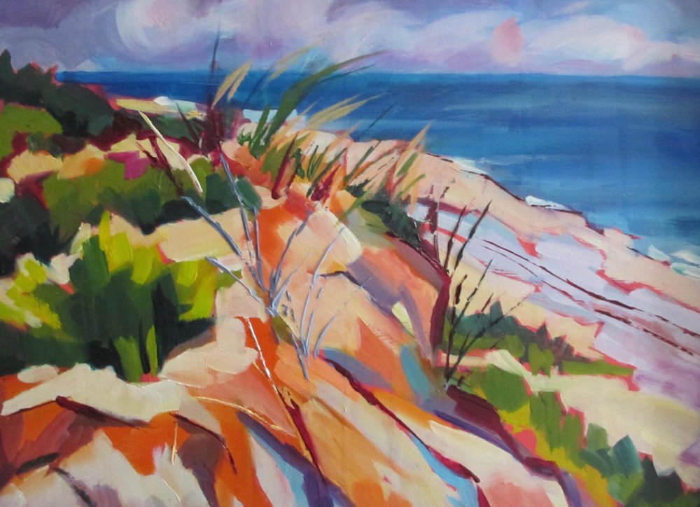Des dunes côtières pleines de vie - Maxine Shore