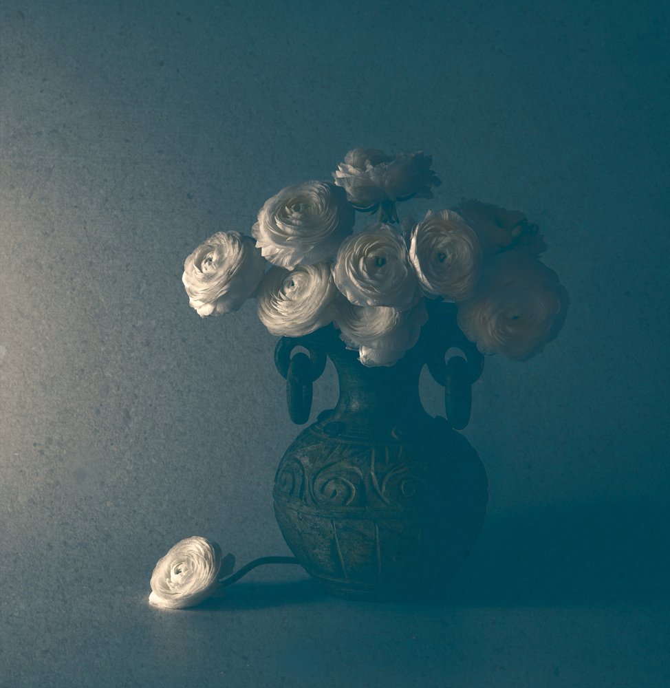 Nature morte classique aux renoncules - May G