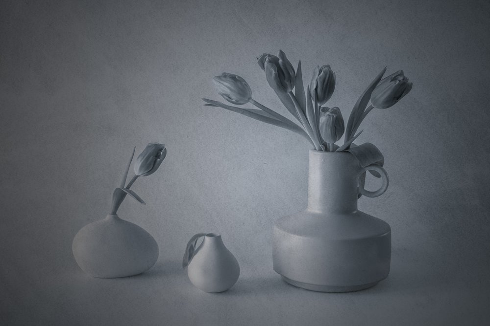 Nature morte aux tulipes de Moody - May G