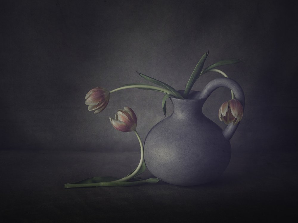 Nature morte aux tulipes mélancoliques - May G