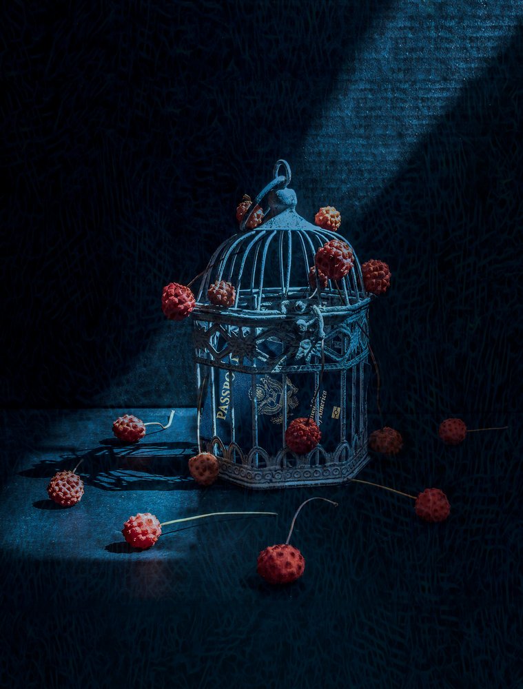 Une cage à oiseaux mystérieuse et des baies - May G