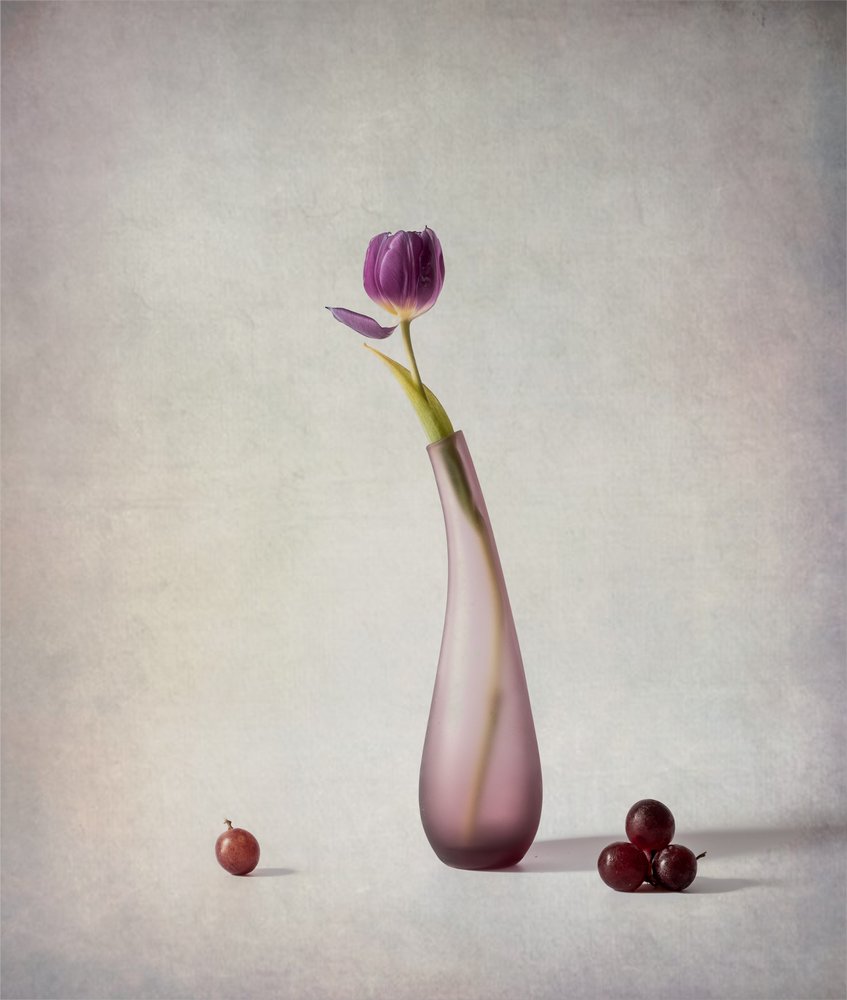 Nature morte aux tulipes violettes - May G