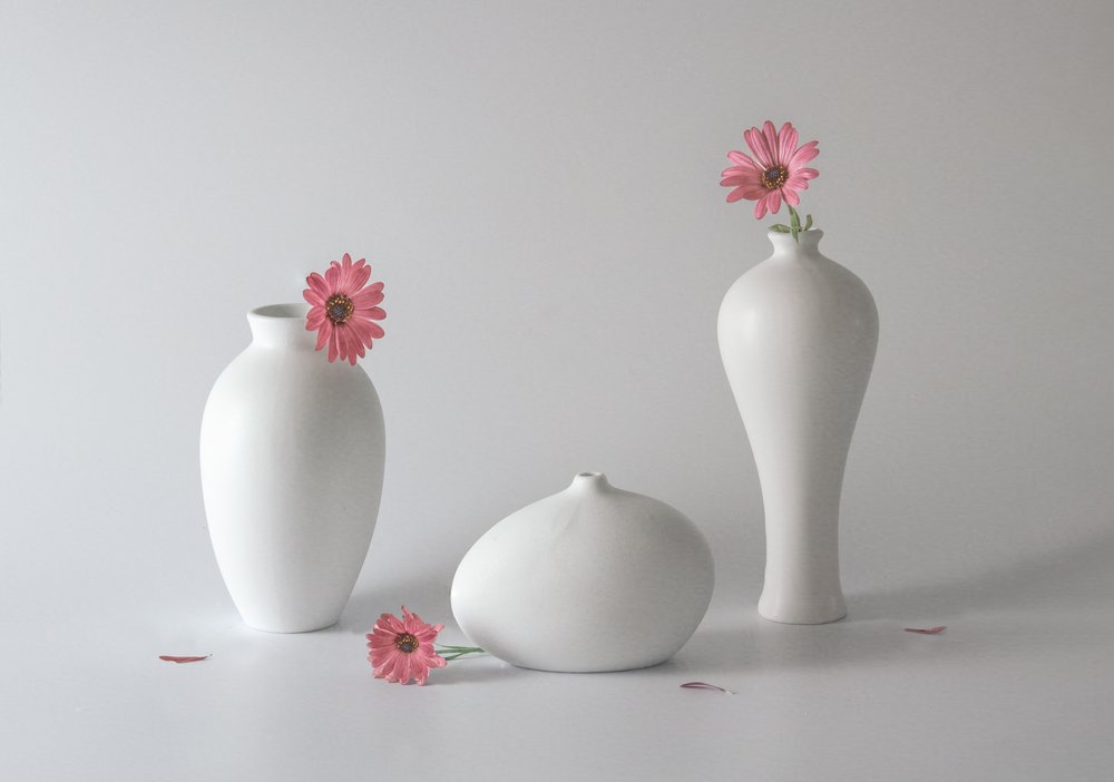 Vases floraux sereins - May G