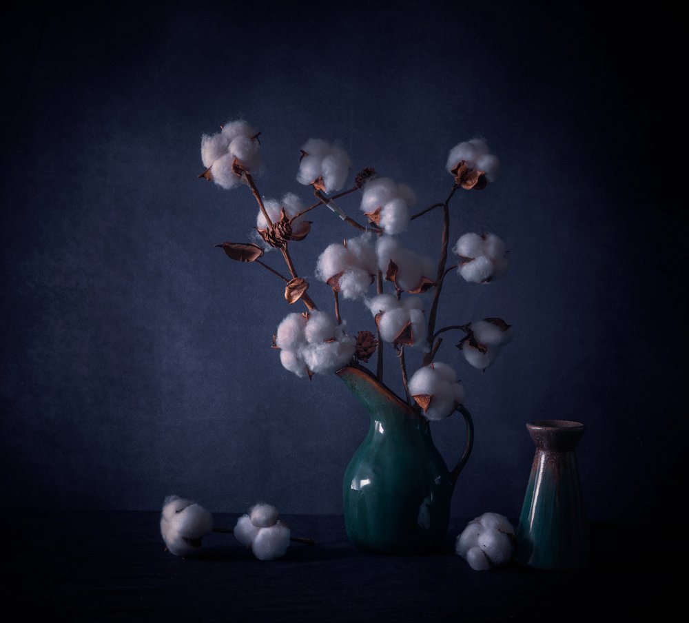 Nature morte au coton blanc - May G