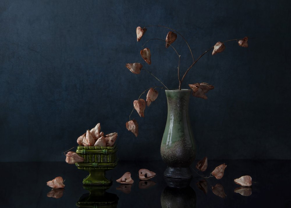 Nature morte botanique sombre - Ming Chen