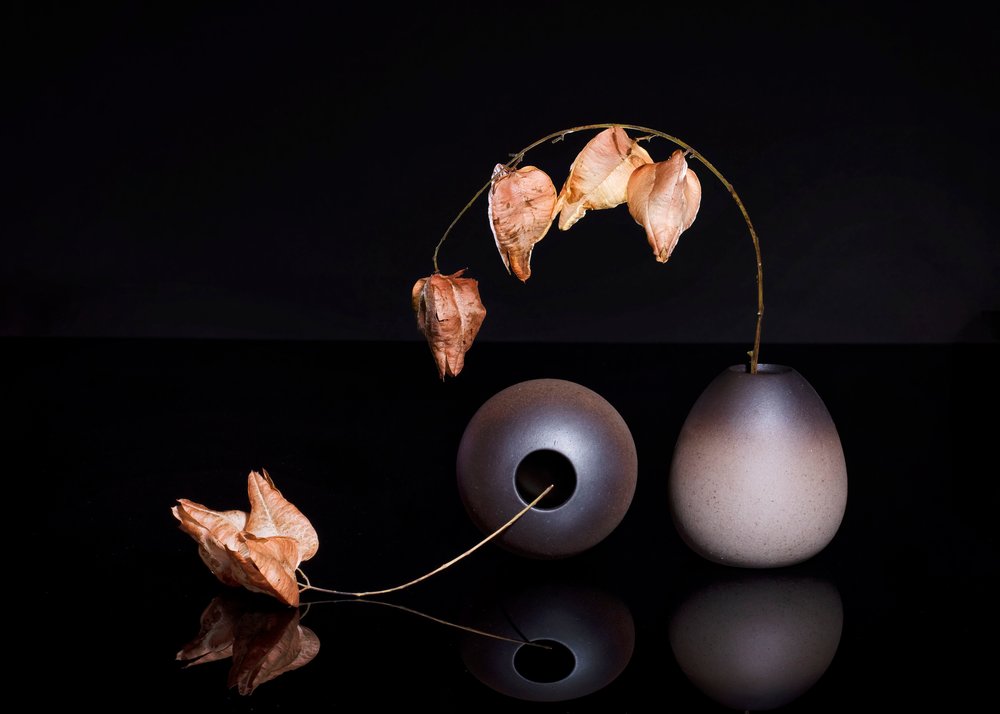 Lanternes chinoises séchées - Ming Chen