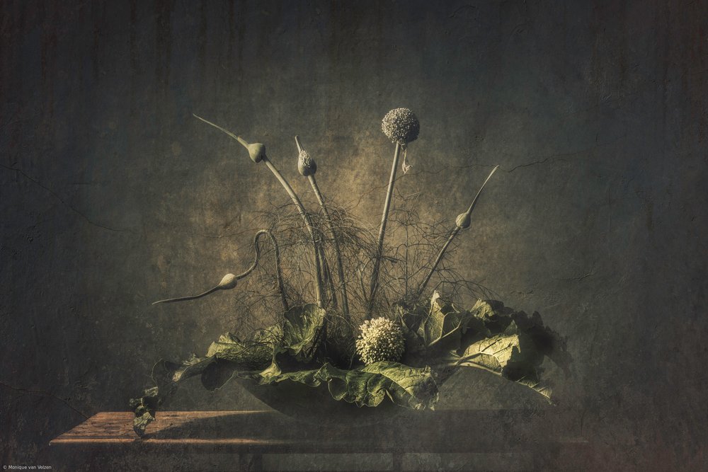 Nature morte botanique sombre - Monique van Velzen
