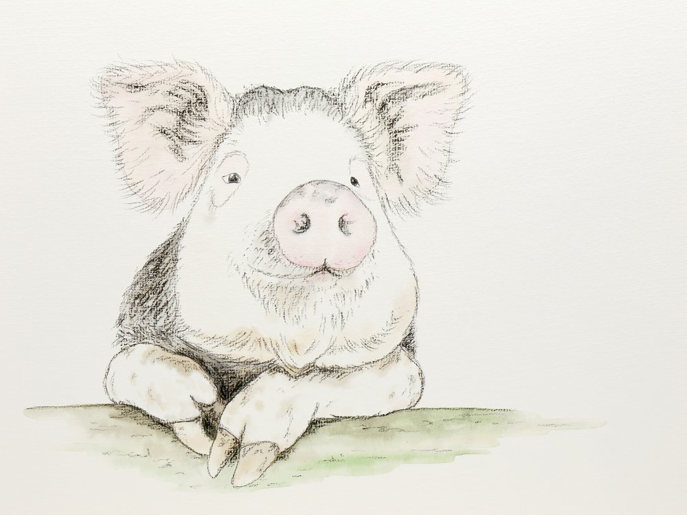 Un cochon mignon peint à l