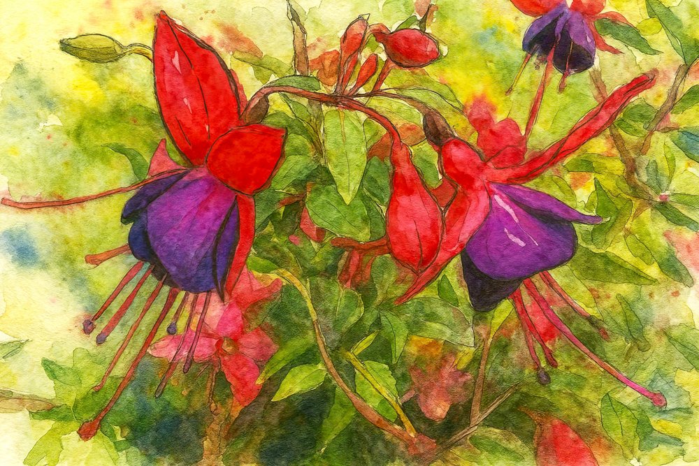 Fleurs fuchsia éclatantes - Natalie Bruns