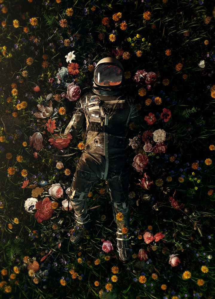 Rêve floral cosmique - Nicebleed