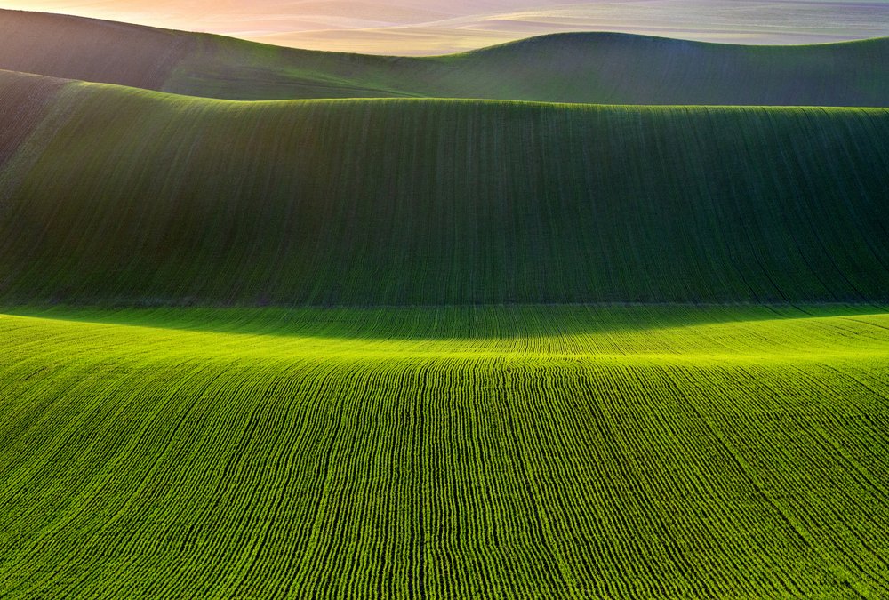  - Nicola Figliuolo