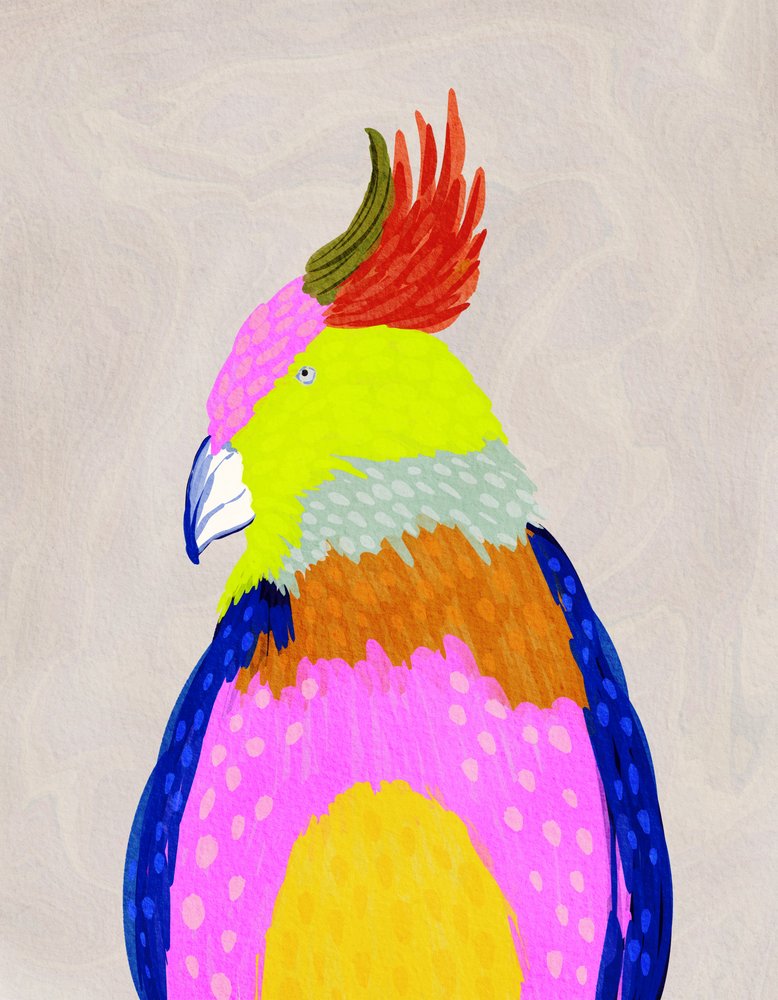 Perroquet tropical aux couleurs vives - Nikita Jariwala