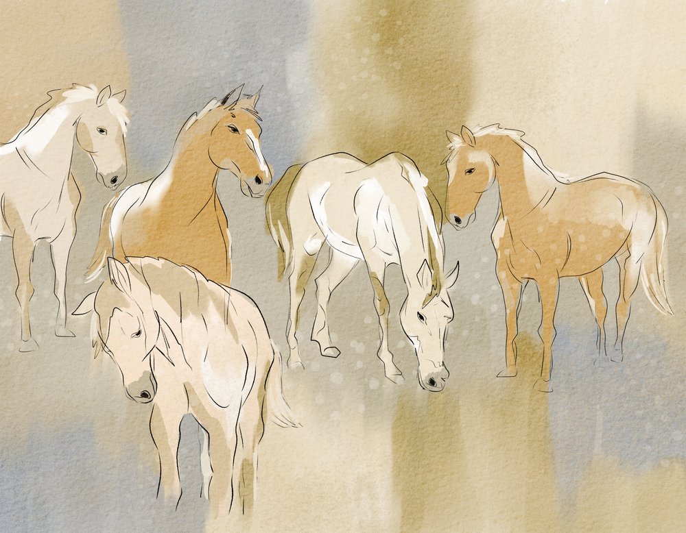 Un troupeau de chevaux gracieux - Nikita Jariwala