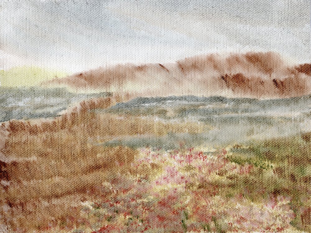 Bruyère des montagnes brumeuses - Nikita Jariwala