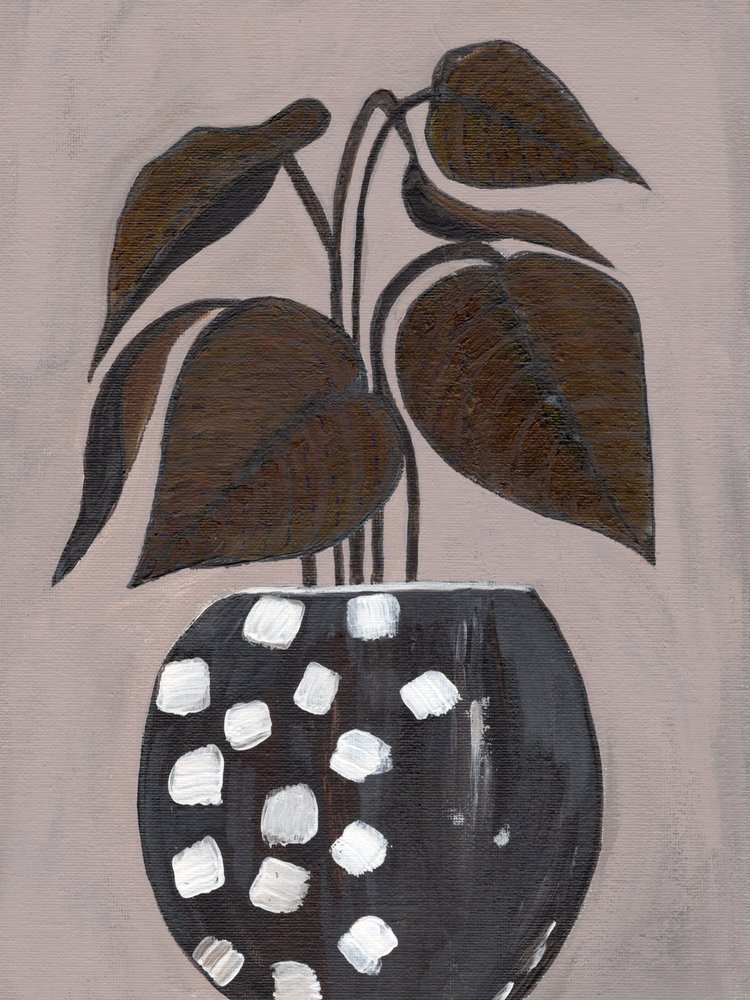 Plante d