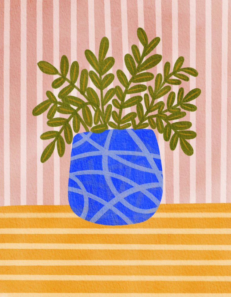 Plante d