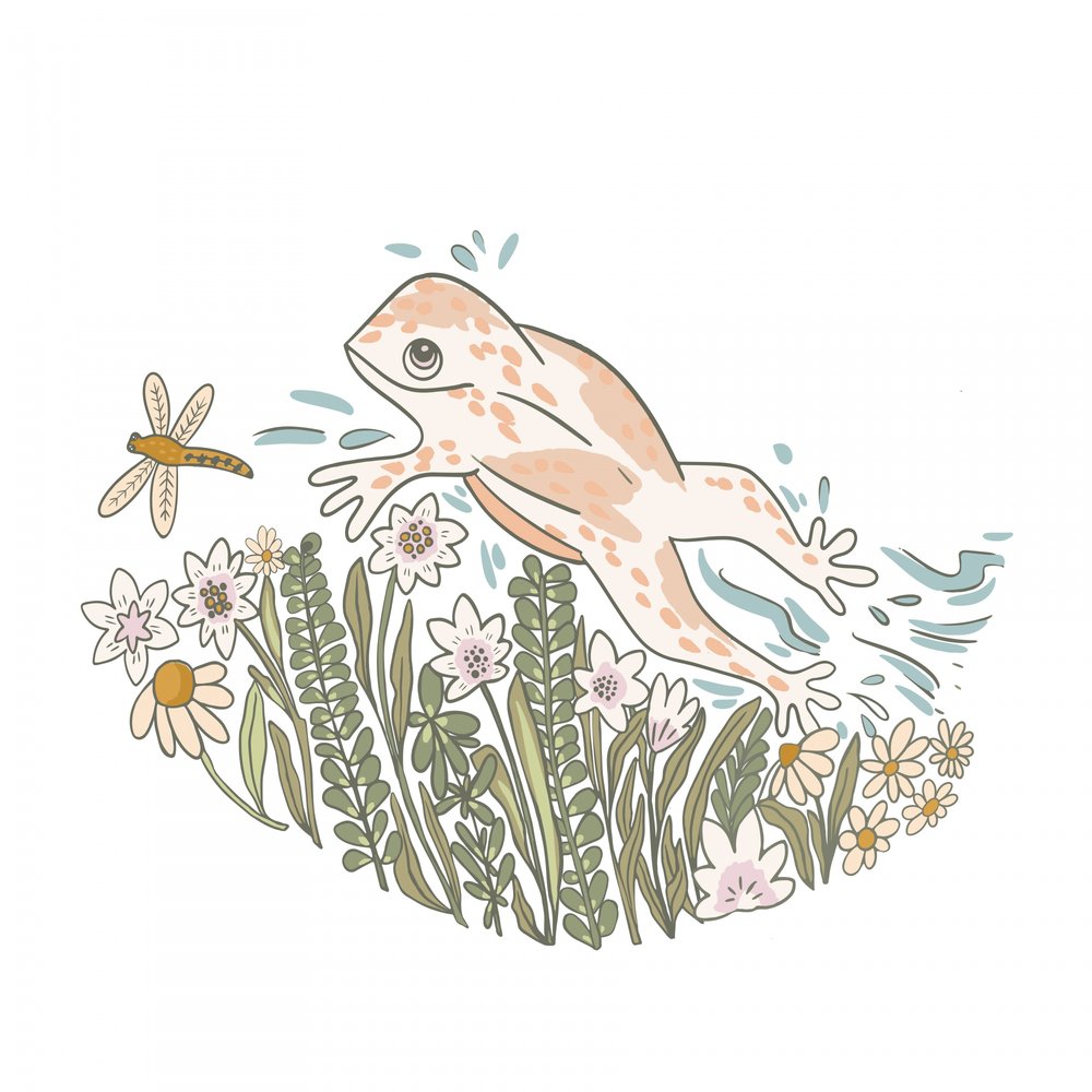 Une grenouille espiègle et des fleurs - Nikita Jariwala