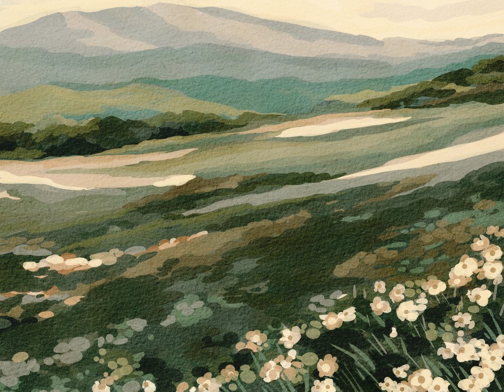 Paysage de la montagne aux fleurs sauvages - Nikita Jariwala