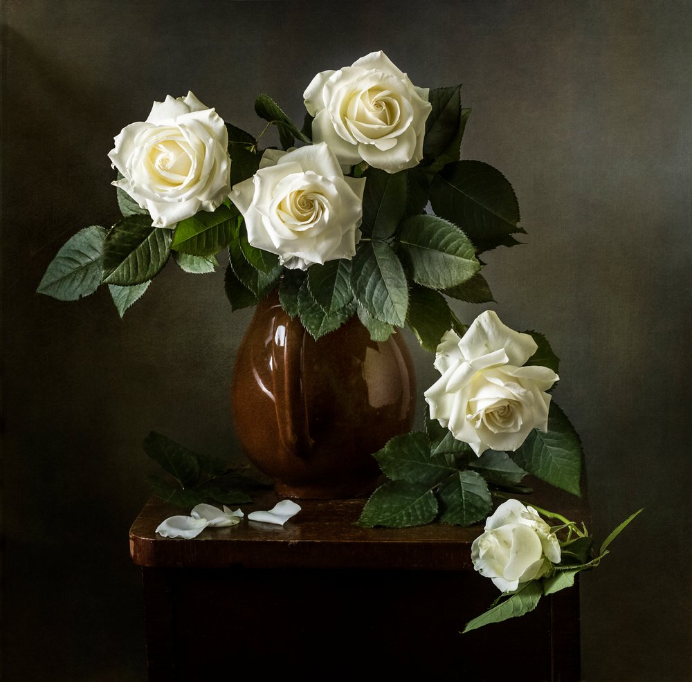 Élégantes roses blanches - Olga Aleksandrovna