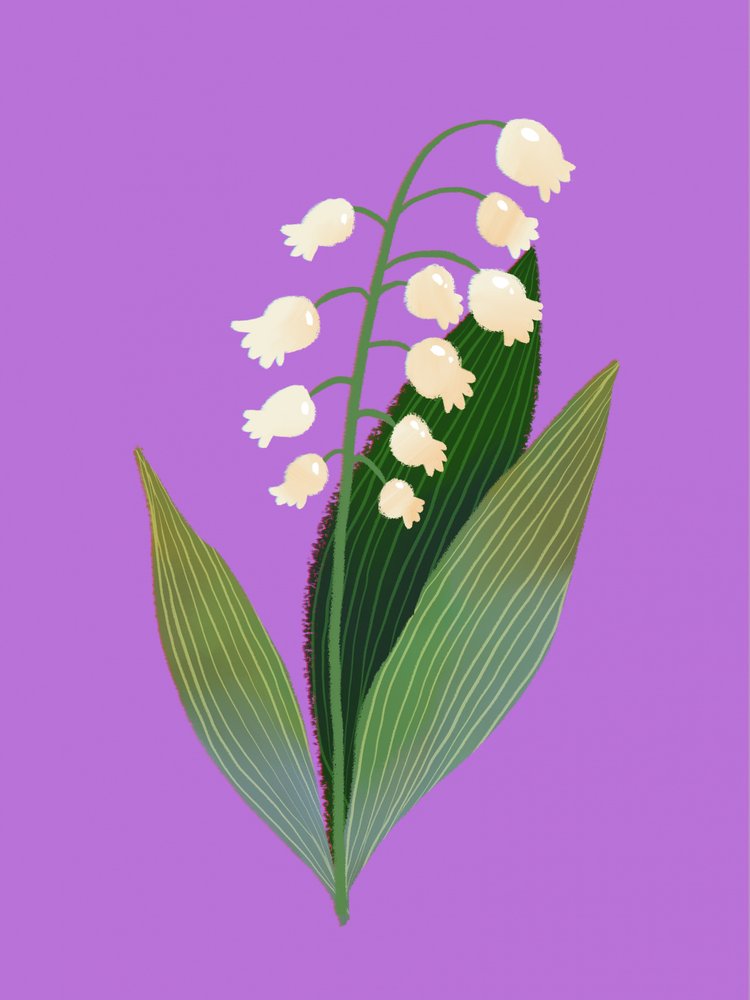 Muguet - Olga Skomorokhova