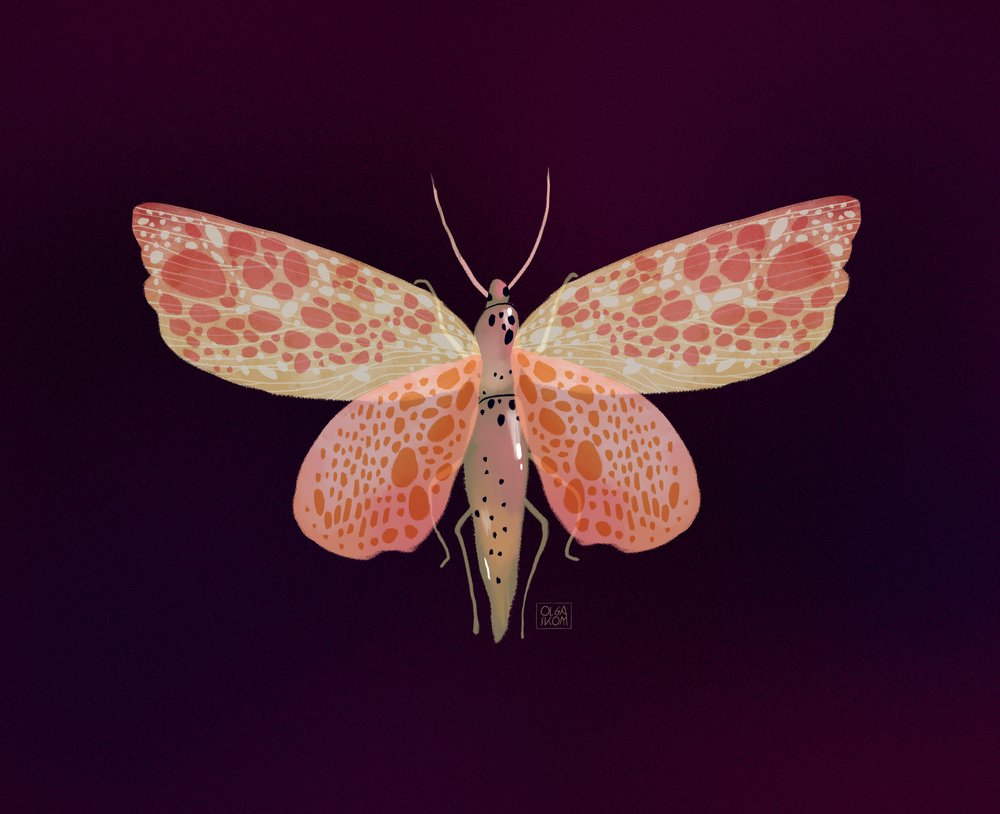  - Olga Skomorokhova