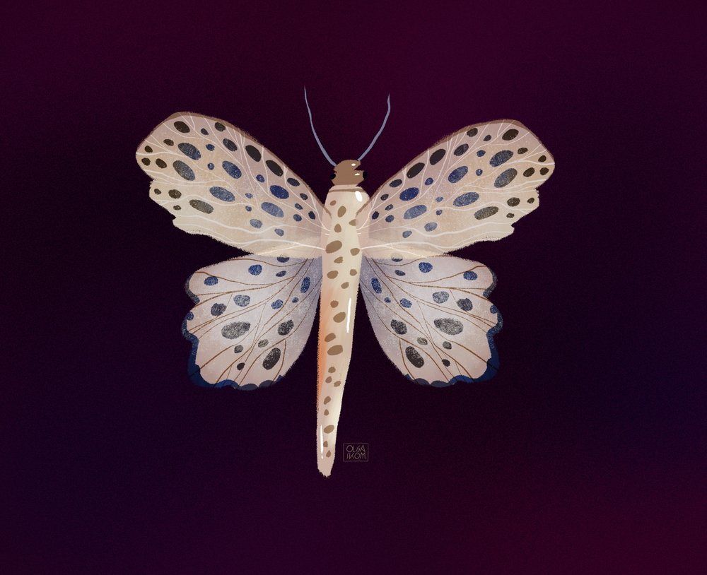  - Olga Skomorokhova