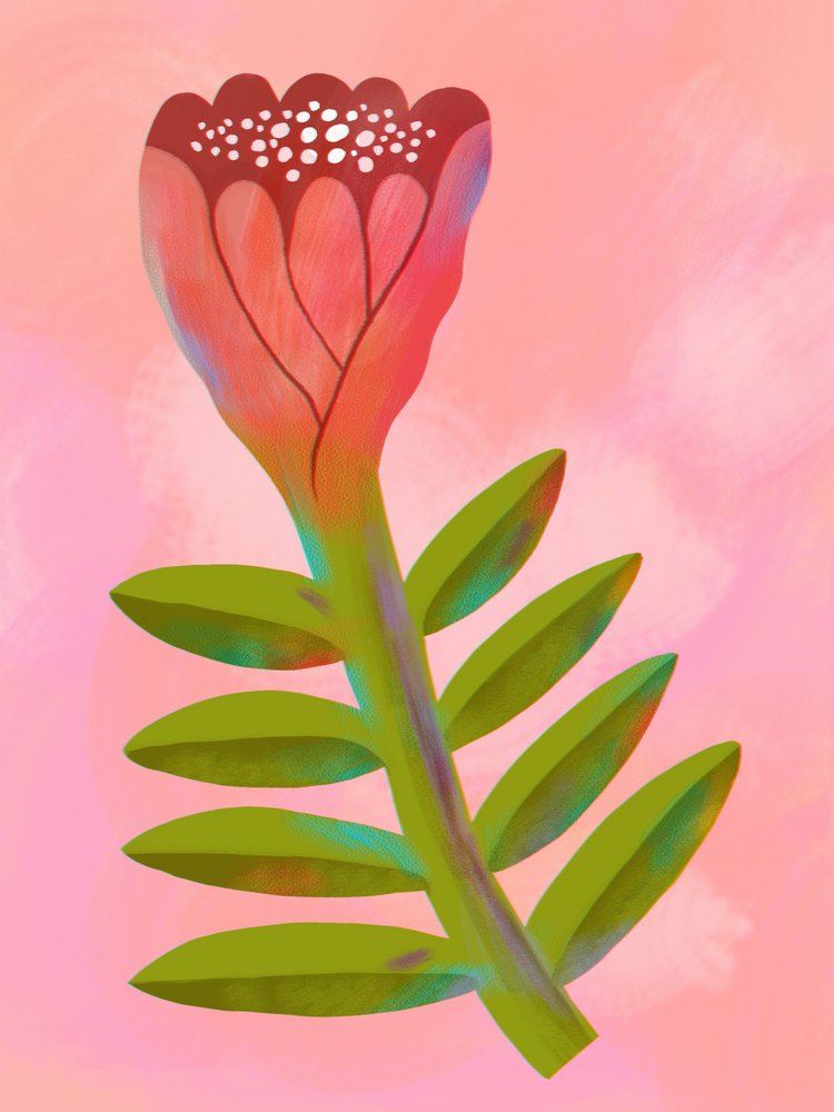 Rose vif et motifs botaniques - Olga Skomorokhova