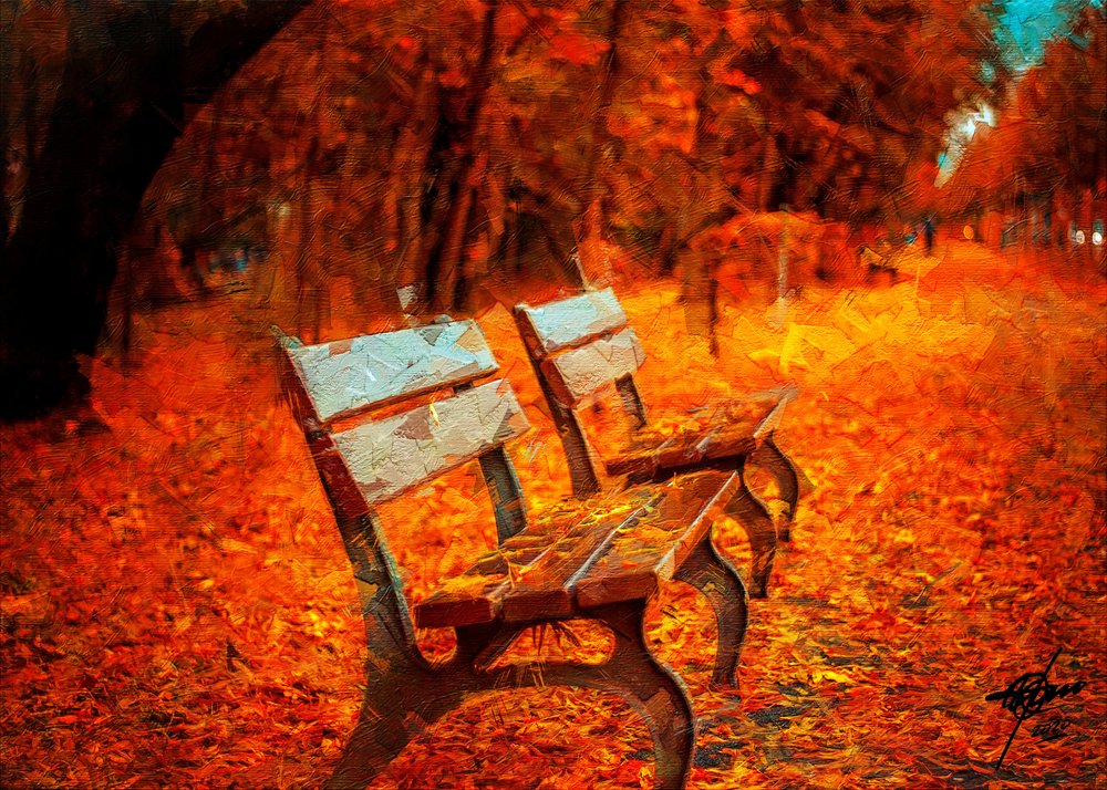 Bancs d