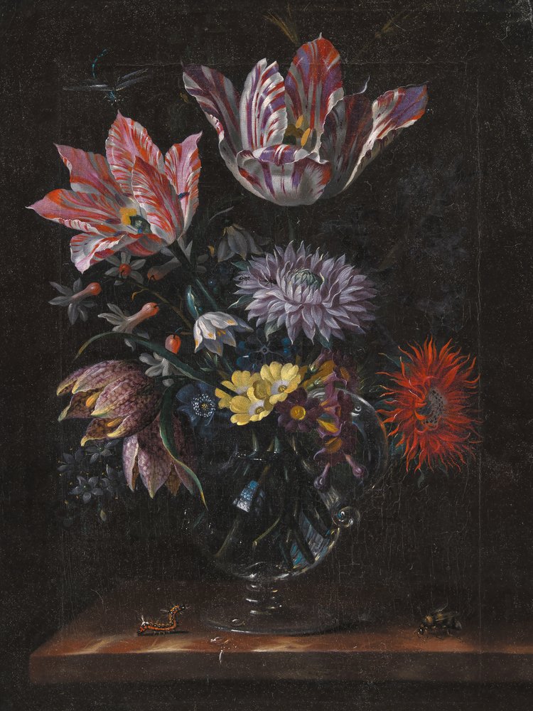 Inconnu, par Jacob Marrel - Pictufy