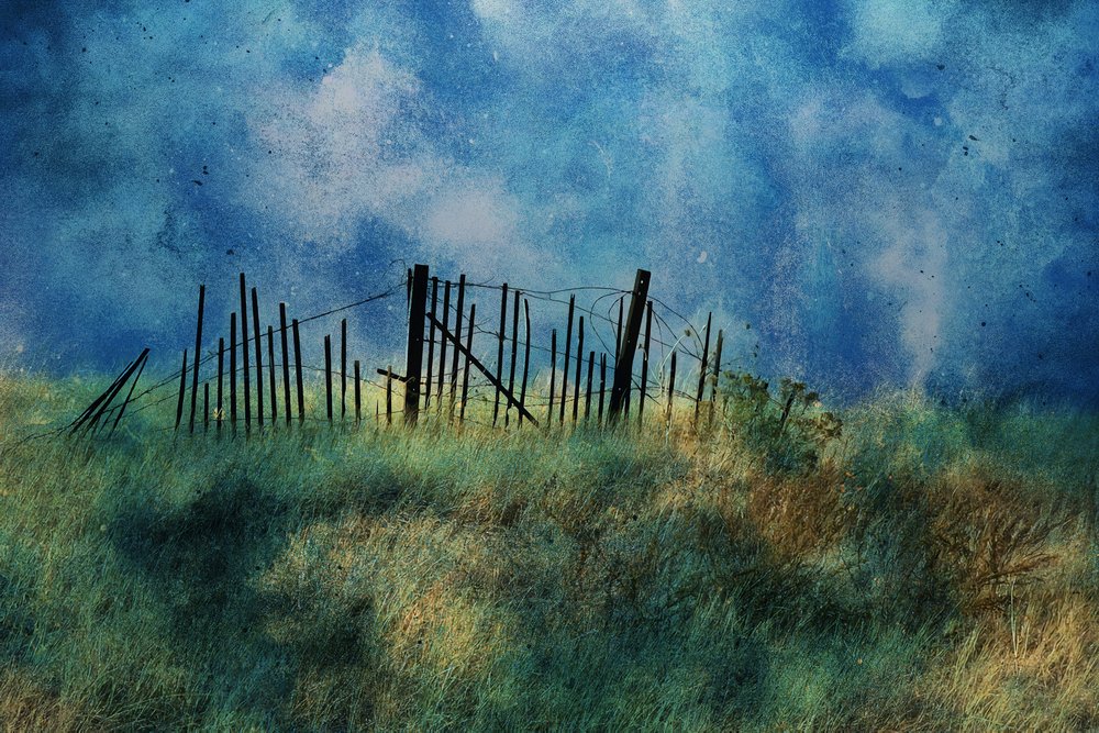 Clôture côtière « Blue Sky » - Porter Thomas