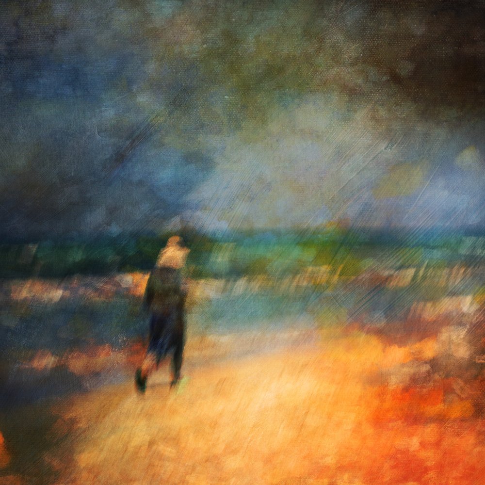 Promenade solitaire sur la plage - Rachel Pansky