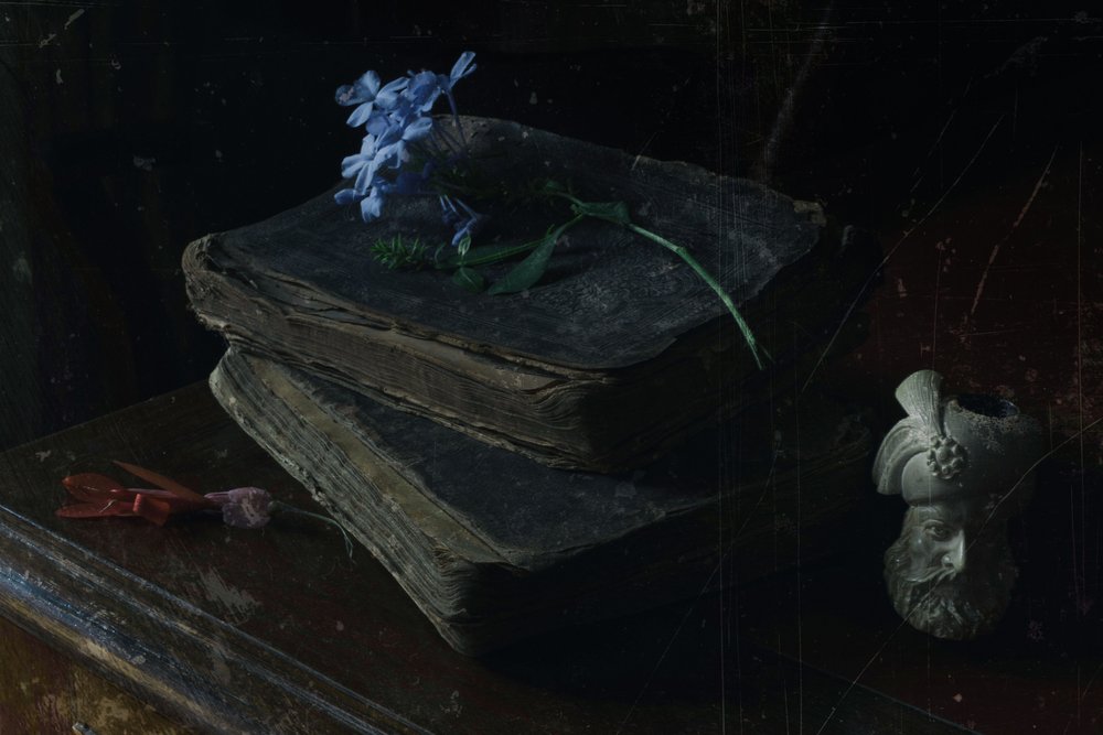 Livres anciens et fleurs bleues - Ramiz Sahin