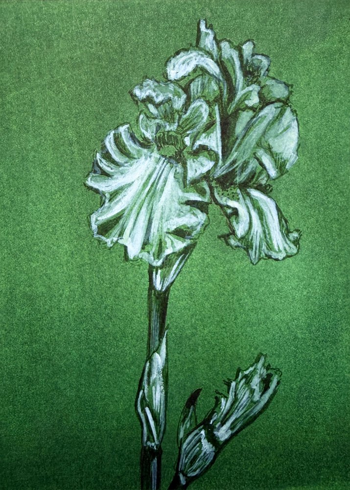 Élégant iris vert - Renee Machan Cottagecore Artist