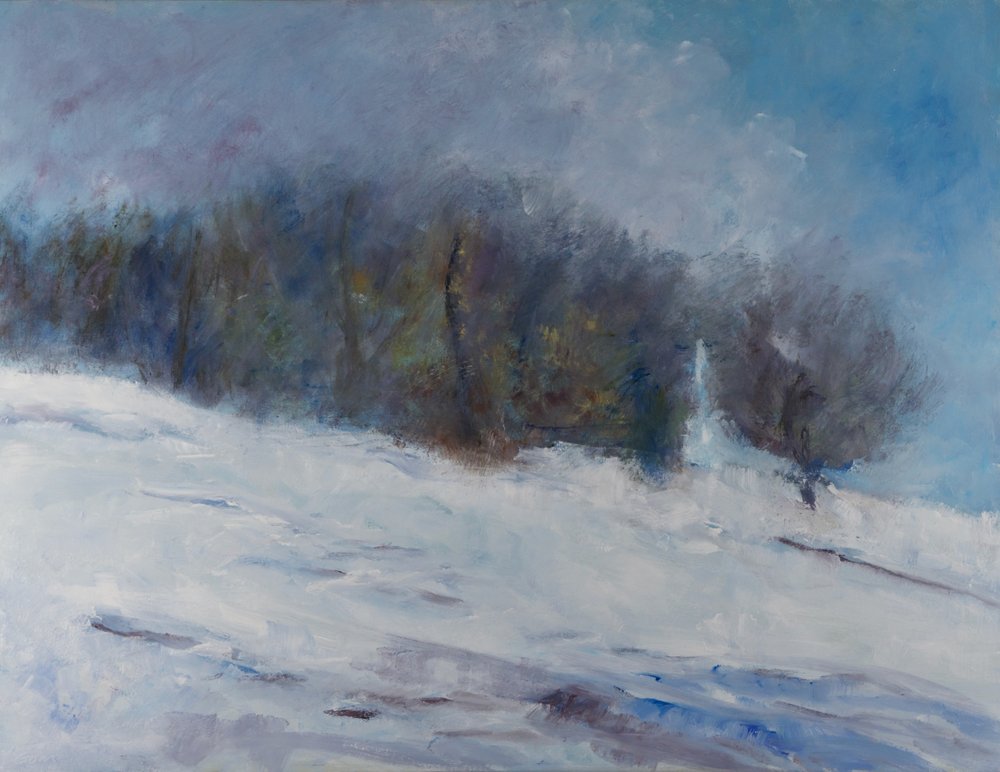 Forêt enneigée en hiver - Richard Gombar
