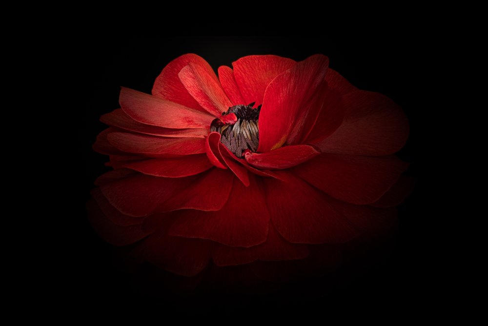  - Richard Urbanski