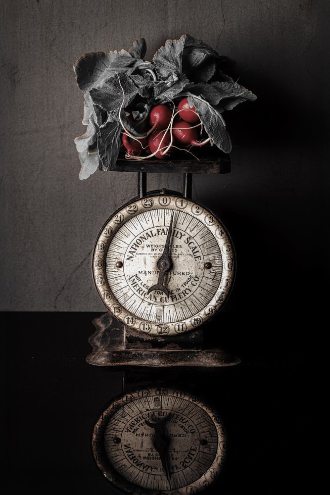 Radis « Vintage Scale » - Rob Ryan