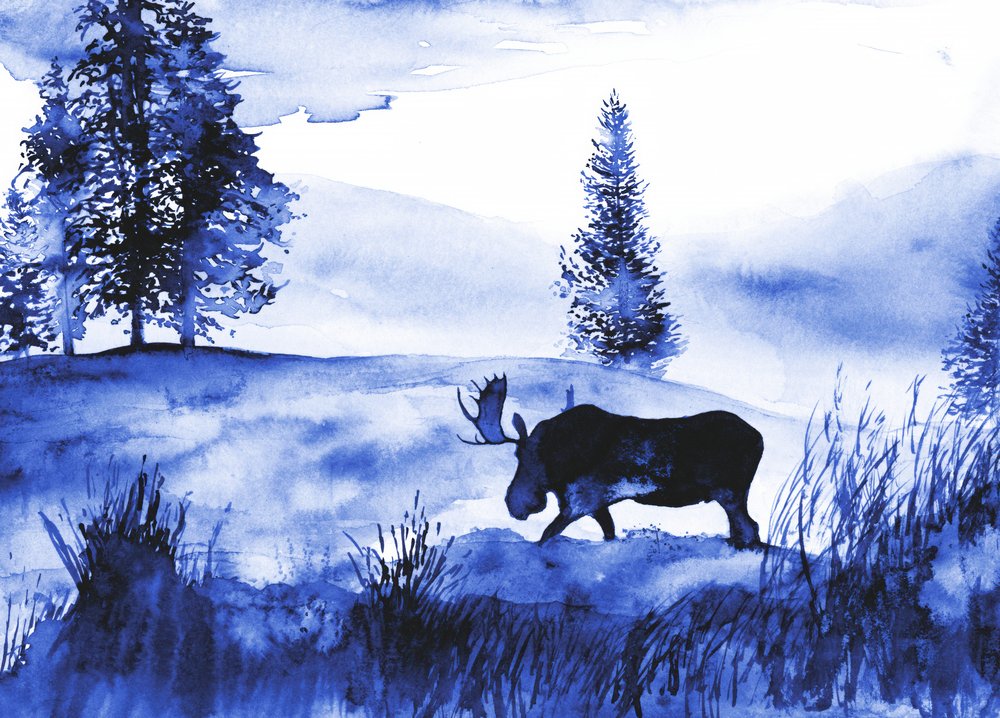 Un paysage hivernal avec un élan - RodMacIver