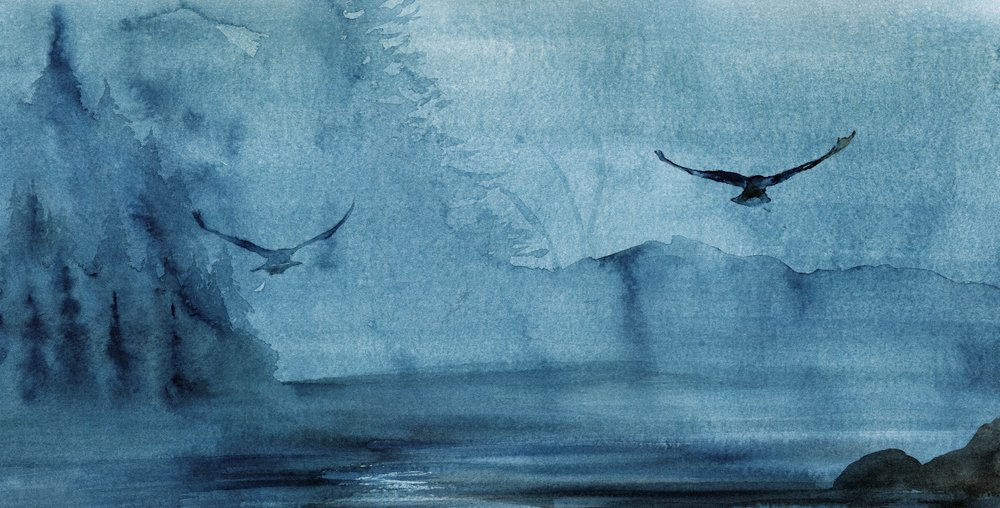 Des oiseaux dans la brume bleue - RodMacIver
